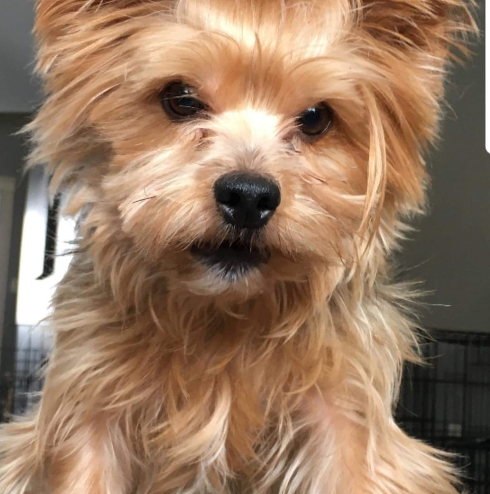 Meet your Posher, Tammy